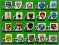 Ligue 1 saison 2019-2020 - 20 Fves Brillantes - Arguydal